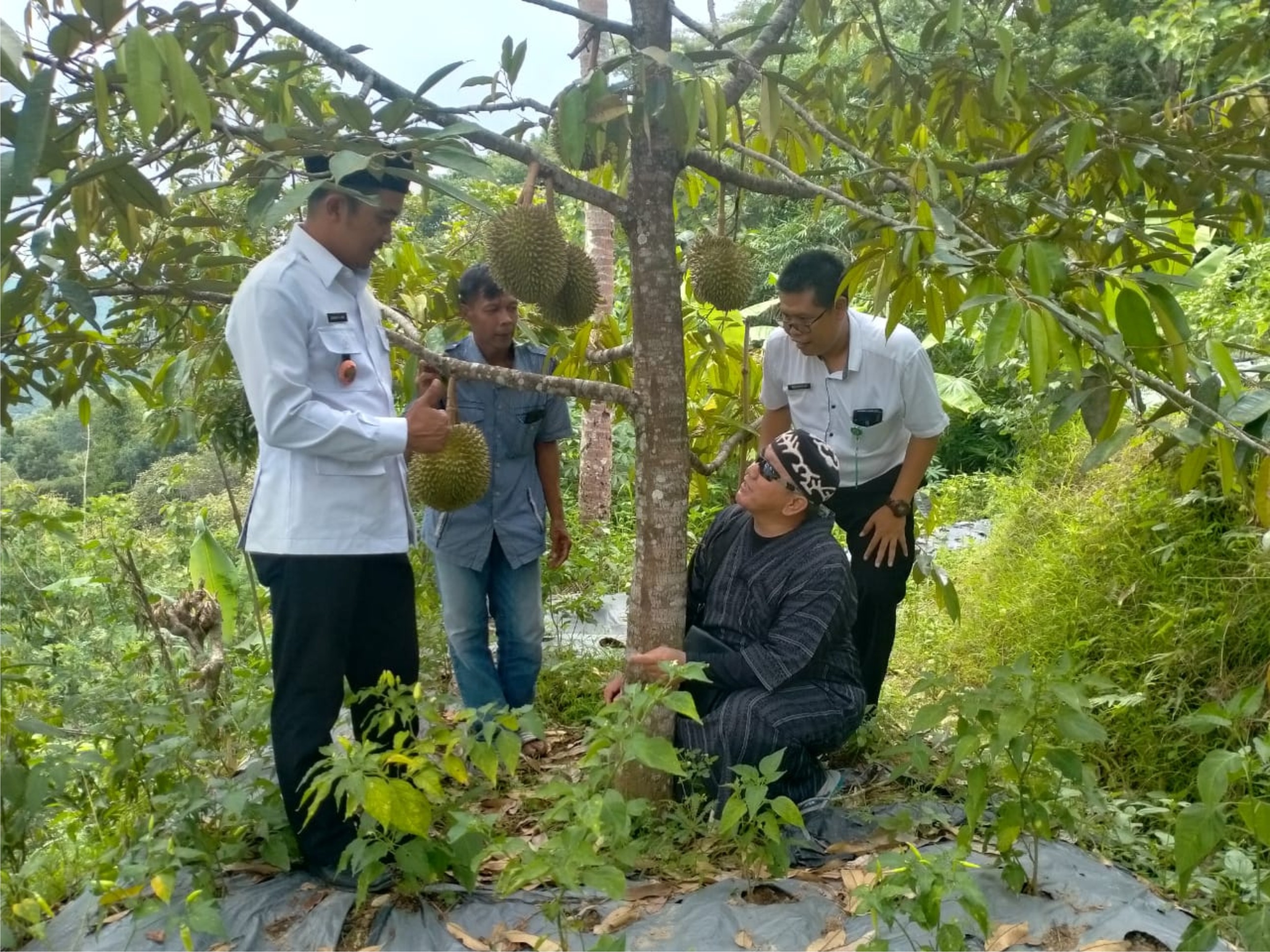 Konten Berita